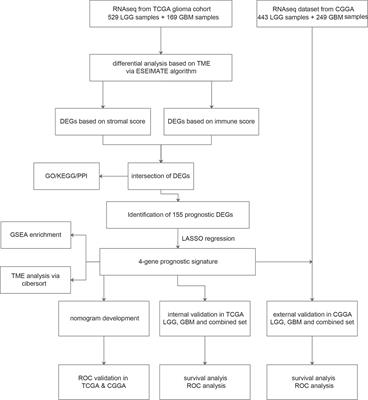 A Prognostic Microenvironment-Related Immune Signature via ESTIMATE (PROMISE Model) Predicts Overall Survival of Patients With Glioma